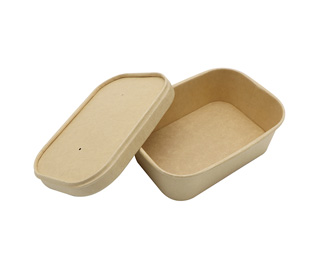 Square Salad Box 753