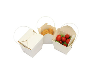 Noodle Boxes with handle 512