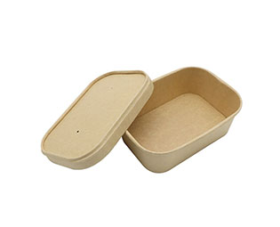 Square Salad Box 501