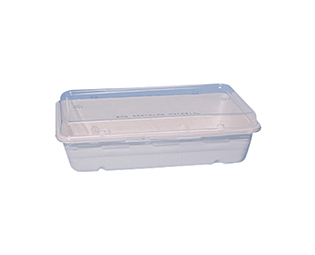 Bagasse boxes