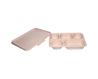 Bagasse trays